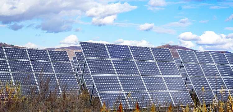 紡織品防螨檢測-專業除螨防螨檢測機構