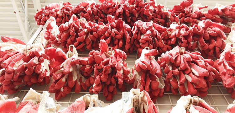 消毒效果檢測(cè)合格報(bào)告書(shū)有什么內(nèi)容?洗碗機(jī)有沒(méi)有除菌效果 