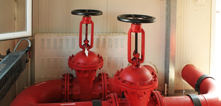 微生物安全健康網，微生物檢測如何規范操作 ?在微生物檢測實踐中，什么時候需要檢測參考菌群 參考菌群的檢測有何意義 ?健明迪