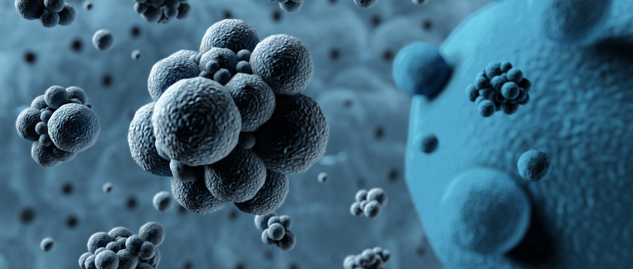 病毒滅殺效果檢測(cè)