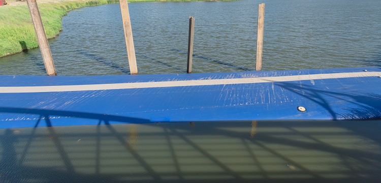 大鼠被動(dòng)皮膚過(guò)敏模型