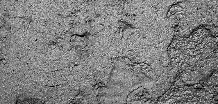 冷凍油檢測(cè)