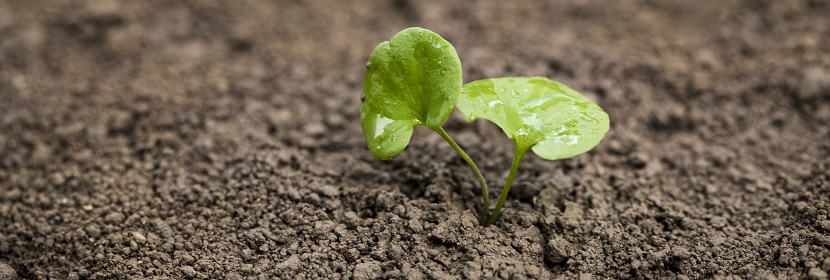 農(nóng)藥酸度測(cè)定