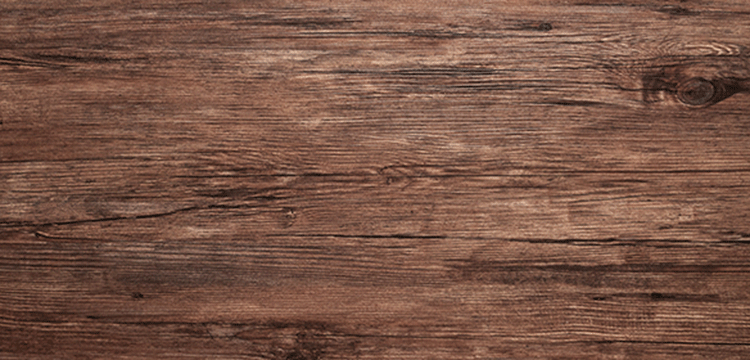 纖維素酶檢測(cè)