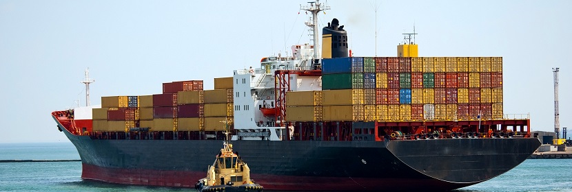 單硬脂酸酯檢測