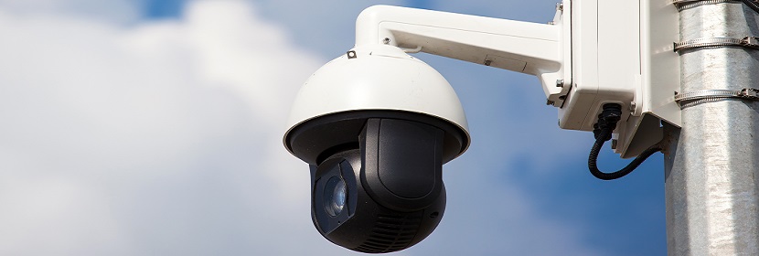 甲基丁二酸檢測