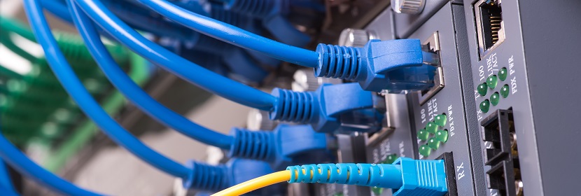 潑尼松龍檢測(cè)