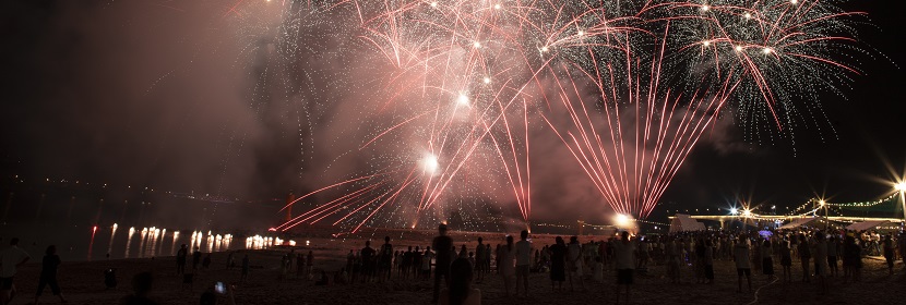 煙花爆竹產品-九大類、煙花爆竹藥劑檢測