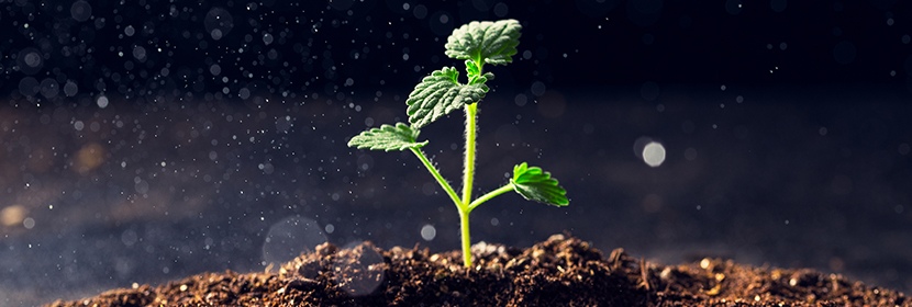 酸堿值檢測(cè)