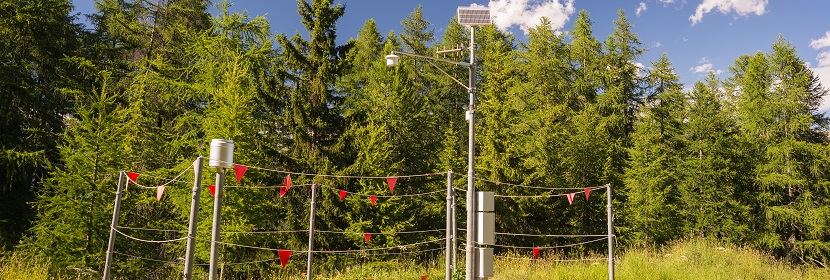 產氣莢膜梭菌檢測