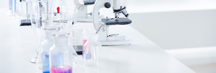 急性經(jīng)皮毒性試驗