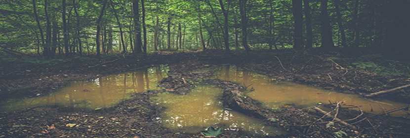 動力粘度系數檢測