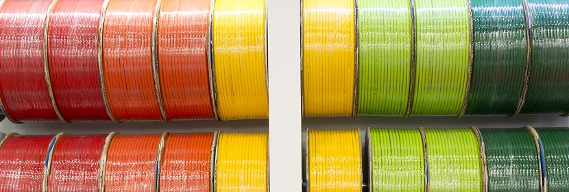 胚胎干細胞試驗