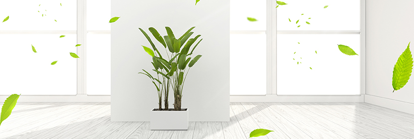 空氣凈化器測(cè)試