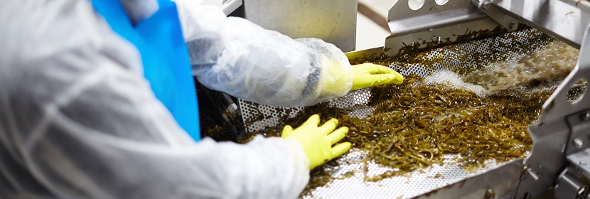 食品GMP車間檢測