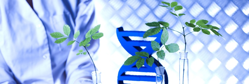 海藻酸復(fù)合肥料檢測