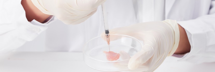 食品急性經(jīng)口毒性試驗