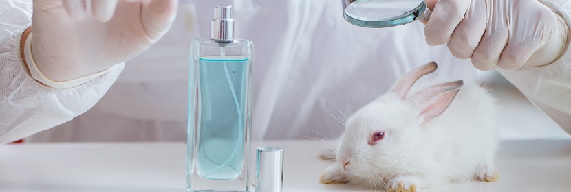 消毒劑陰道黏膜刺激試驗(yàn)