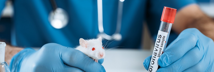 手消毒劑多次完整皮膚刺激試驗(yàn)