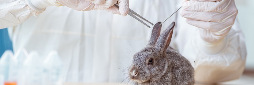 一次性使用衛生用品皮膚變態反應試驗