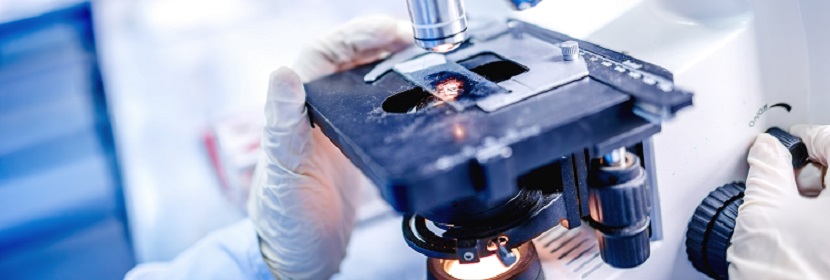 烷氧基含磷鈦酸酯偶聯劑檢測