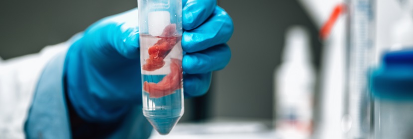 工作基準試劑氧化鋅檢測