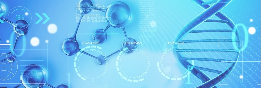 集裝箱門框密封條檢測