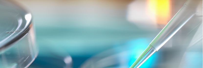 再生異丁烯-異戊二烯(IIR)橡膠檢測