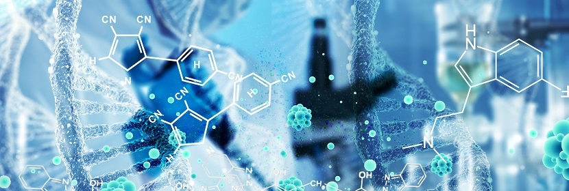 脫硫脫硝用煤質顆?；钚蕴繖z測